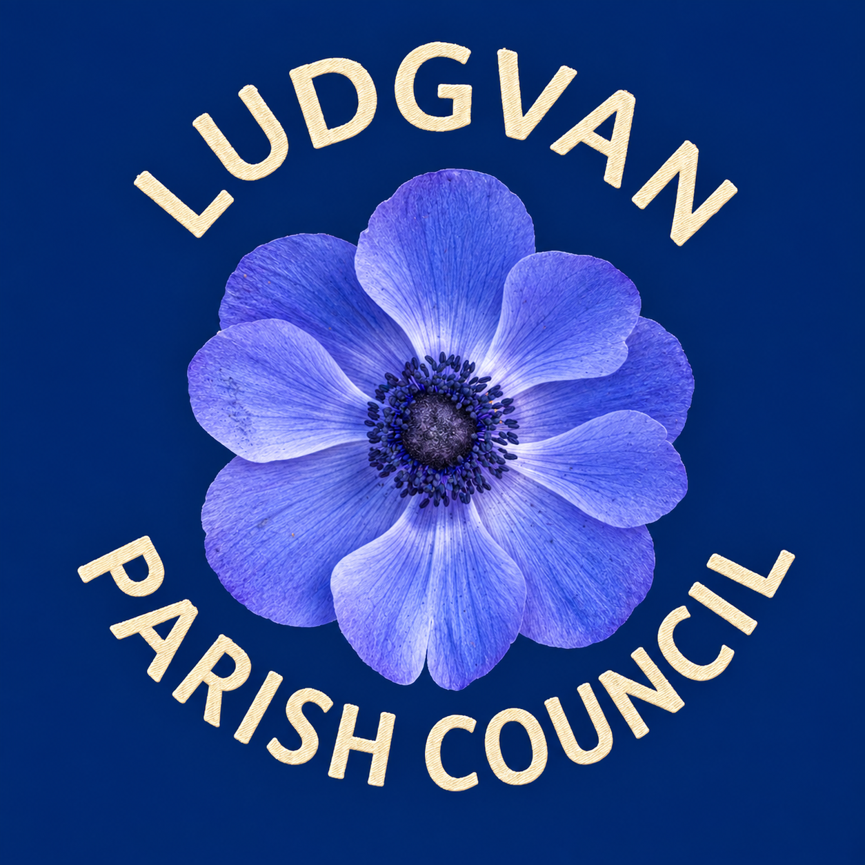 website logo